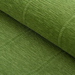 Бумага для упаковок и поделок, Cartotecnica Rossi, гофрированная, фисташковая, зеленая, однотонная, двусторонняя, рулон 1 шт., 0,5 х 2,5 м
