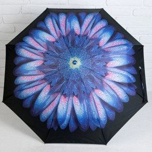 Зонт полуавтоматический «Цветы», 3 сложения, 8 спиц, R = 48 см, цвет МИКС