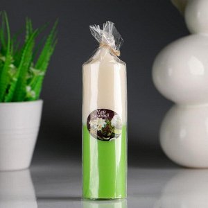 Свеча- цилиндр "Жасмин- Зелёный чай" ароматическая, 4?13,5 см 4852515