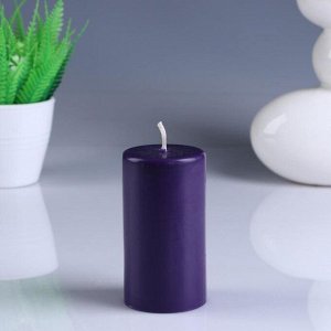 Свеча- цилиндр "Ягодная корзина" ароматическая, 5,2-9,5 см