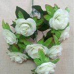 Коллекция 3