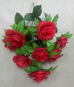 Роза &quot; Аида&quot;.