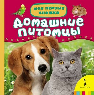 Уценка. Домашние питомцы (U978-5-353-06743-6)