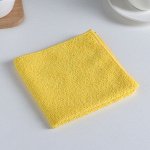 Салфетка из микрофибры 29?29 см, 220 г/м2, цвет МИКС