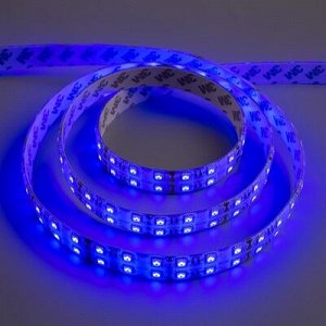 Светодиодная лента 12В, SMD5050, 5 м, IP65, 120 LED, 28.8 Вт/м, 10-12 Лм/1 LED, DC, СИНИЙ