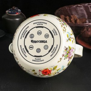 Чайник эмалированный со свистком «Чудесница. Весенний», 2,5 л