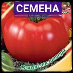 Новинки семян от 01.05