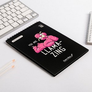 Скетчбук с черными листами "You are llamaizing", А5 40 л