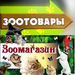 Счастливые Питомцы -Лучшие Друзья 5