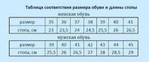 Размерная сетка