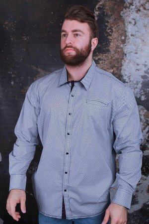 Рубашки Рубашка мужская "ANG"
Состав: хлопок 85%, лайкра 10%, полиамид 5%