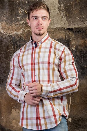 Рубашки Рубашка мужская "ZINZOLIN"
Состав: хлопок 95%, эластан 5%