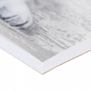 Альбом для рисования А4, 40 листов на клею Tabby, обложка мелованный картон 170 г/м2, жёсткая подложка, блок 120 г/м2