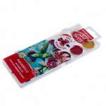 Акварель 12 цветов пластик ArtBerry, УФ-защита яркости, промо упаковка + кисть в подарок