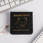 Футляр для бумаг &quot;Большие мечты&quot;, 100 л., иск.кожа