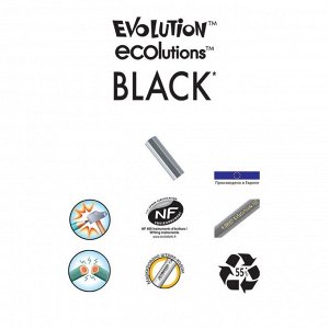 Карандаш чернографитный, HB, чёрный корпус, BIC Evolution Black