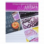 Тетрадь предметная &quot;Коллаж&quot;, 48 листов в клетку &quot;Алгебра&quot; со справочным материалом, обложка мелованный картон, блок офсет