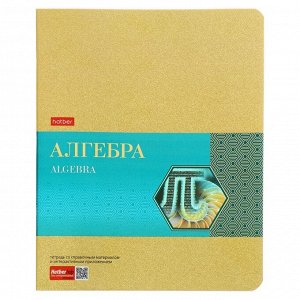 Тетрадь предметная, 48 листов в клетку Gold Style «Алгебра», мелованный картон, фольгированные скругленные углы, с интерактивной информацией