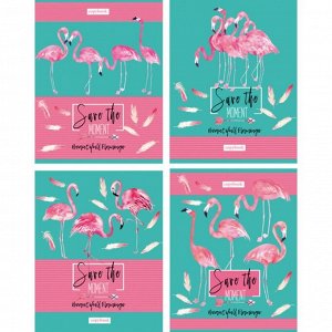 Тетрадь 96 листов лин «Фламинго», обложка мелованный картон, микс