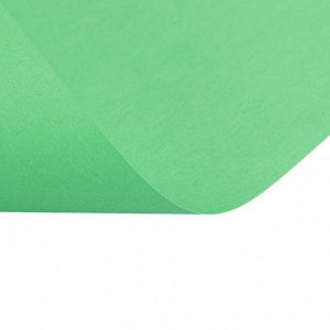 Бумага цветная А4, 50 листов Calligrata Интенсив, зелёная, 80 г/м?
