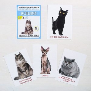 Обучающие карточки по методике Г. Домана «Кошки», 10 карт, А6
