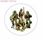 Вафельная картинка на торт Детский праздник №23 (размер 14,5см)