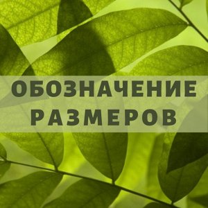 Обозначение размеров