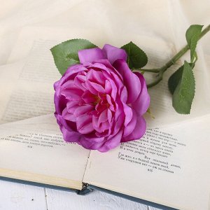 Цветы искусственные "Роза Остина" 9*45 см, фиолетовый