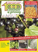 Журнал 1000 советов дачнику 5/20