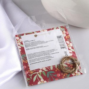 Аромасаше "Запахи удовольствия", яблоко-корица, вес 10 г, размер 10x10.5 см