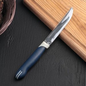 Нож кухонный Доляна «Страйп», лезвие 11,5 см