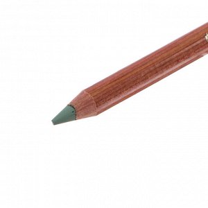 Пастель сухая в карандаше Koh-I-Noor GIOCONDA 8820/24 Soft Pastel, тёмно-зелёная, оливковая
