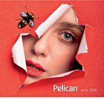 PELICAN! Большая распродажа всех коллекций