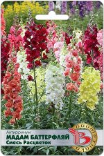 Антирринум Мадам Баттерфляй смесь расцветок (махровый) 15 шт.Цветки густомахровые, диаметром до 5 см, лепестки волнистые