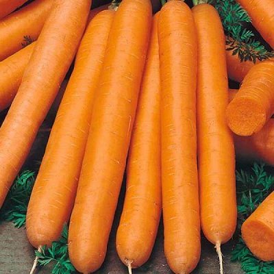 Сей морковку🥕, кушай хрен🥖, будешь как Софи Лорен. СЕМЕНА
