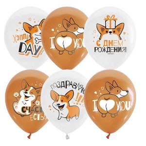 12"/30см WHITE&amp;ORANGE 1 ст. 2 цв. рис. Корги СДР 25шт