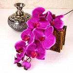 🌺 Искусственные растения. ЕвроКачество! Как живые