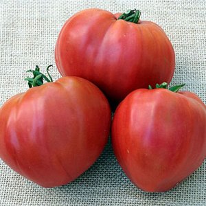 Девичьи сердечки томат 0,1г