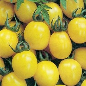 Карамель желтая F1 томат 0,1г