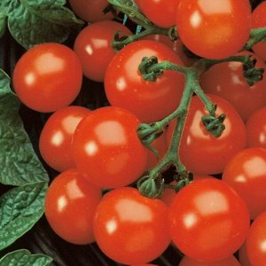 Сладкая гроздь томат 20шт