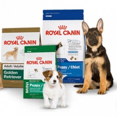 Премиум корма + Наполнители, смываемые в унитаз — Программа здорового питания для собак — royal canin
