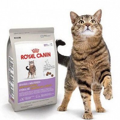 Премиум корма + Наполнители, смываемые в унитаз — Программа здорового питания для кошек — royal canin