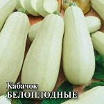 Кабачок Белоплодные  25,0 г