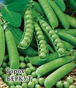 Горох Беркут 50,0 г