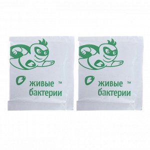 Биоактиватор для дачных туалетов и биотуалетов "Зелёная сосна", 300 г
