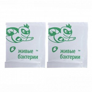 Средство для дачных туалетов и биотуалетов «Зелёная сосна» Биоактиватор, 300 г