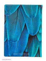 Feather blue