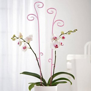 Держатель для орхидеи, 60 см, цвет МИКС