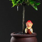 Автополив для комнатных растений &quot;Человек&quot;, микс, 50 мл