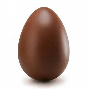Форма для шоколада «Яйцо» пластиковая 1 ячейка, 15,5х11 см